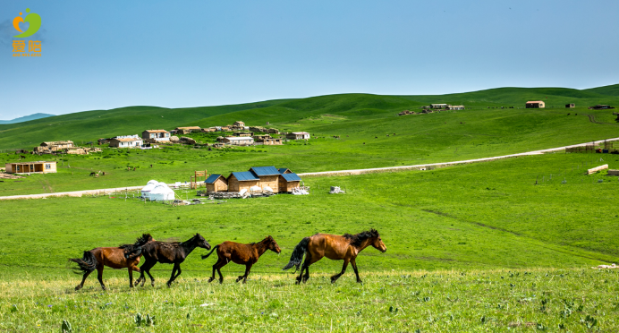 愛(ài)在江湖，陪在親情——愛(ài)陪供入湘贛地區(qū)提供便民服務(wù)回顧